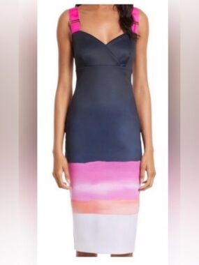 Ted Baker Colorblock Midi Dress with Pink Straps